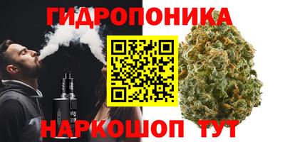прущая мука Владимир
